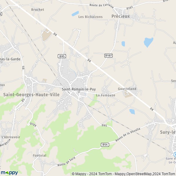 La carte pour la ville de Saint-Romain-le-Puy 42610