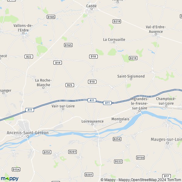 La carte pour la ville de Belligné, 44370 Loireauxence
