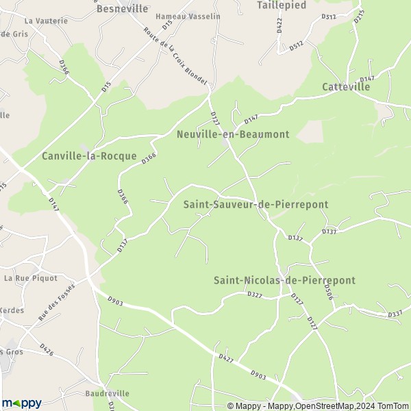 La carte pour la ville de Saint-Sauveur-de-Pierrepont 50250