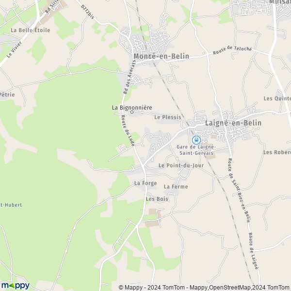 La carte pour la ville de Saint-Gervais-en-Belin 72220