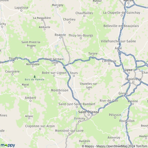 La carte du département Loire