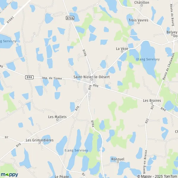 Plan SaintNizierleDésert carte de SaintNizierleDésert (01320