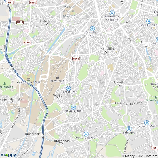 La carte pour la ville de 1190 Forest