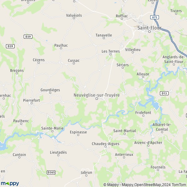 La carte pour la ville de Neuvéglise-sur-Truyère 15100-15260