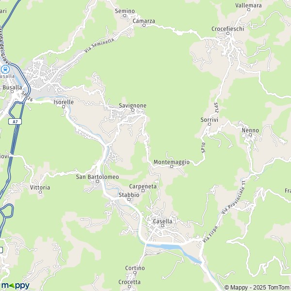 La carte pour la ville de Savignone 16010