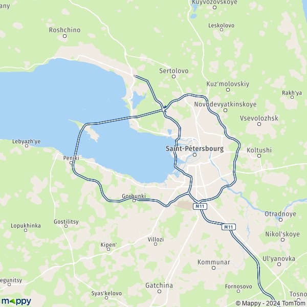 La carte pour la ville de Saint-Pétersbourg 190000-199406