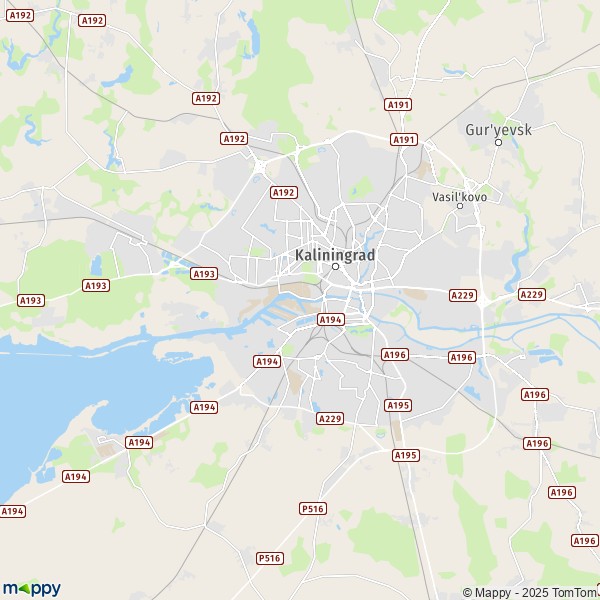 La carte pour la ville de Kaliningrad 236003-238347