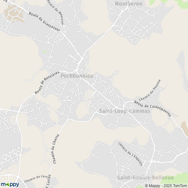 Carte Les Bougainvilliers, 31140 Saint-Loup-Cammas