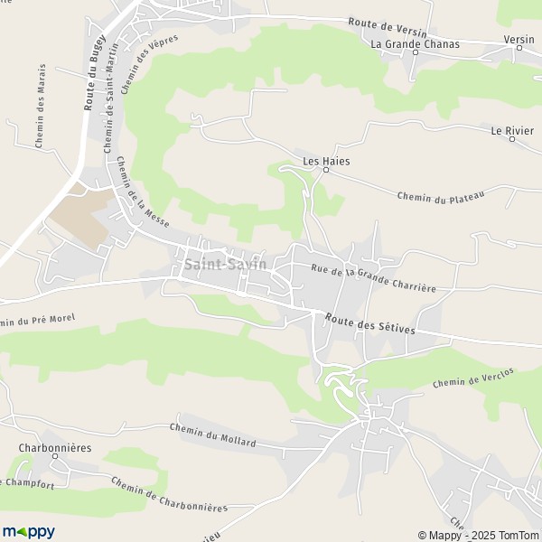 Carte Le Rieu, 38300 Saint-Savin