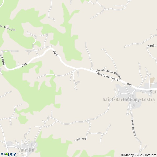 Carte L'Orme, 42110 Saint-Barthélemy-Lestra