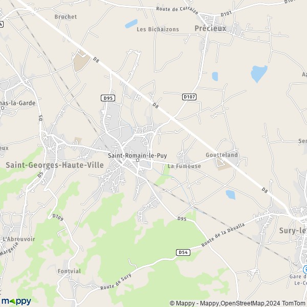 La carte pour la ville de Saint-Romain-le-Puy 42610