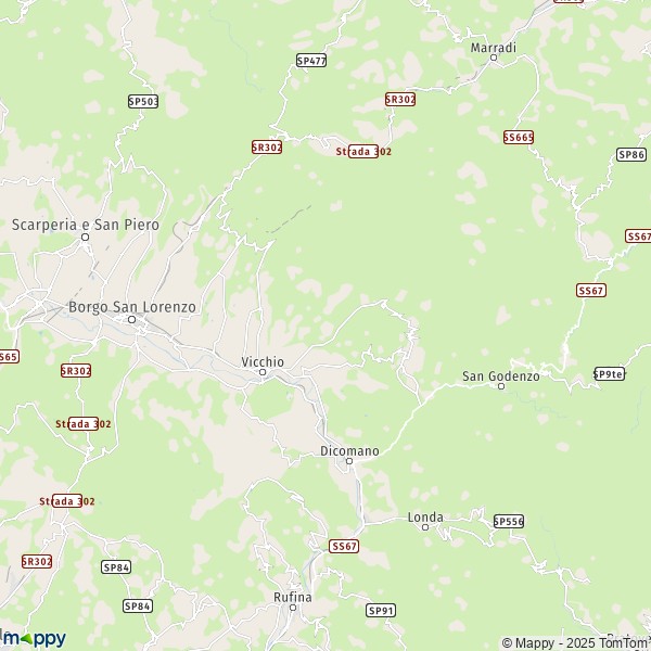 La carte pour la ville de Vicchio 50039