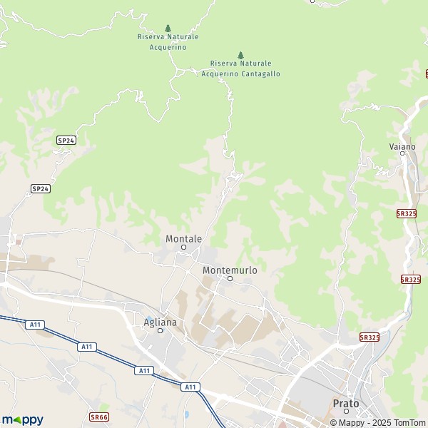 La carte pour la ville de Montale 51037