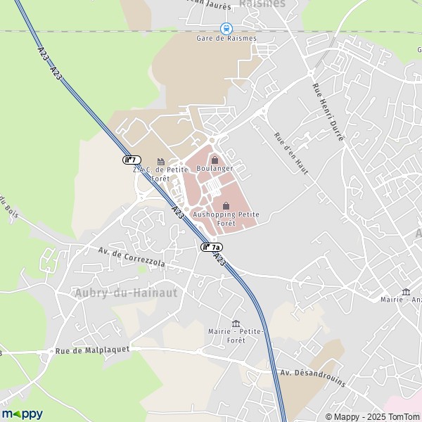 La carte pour la ville de Petite-Forêt 59494