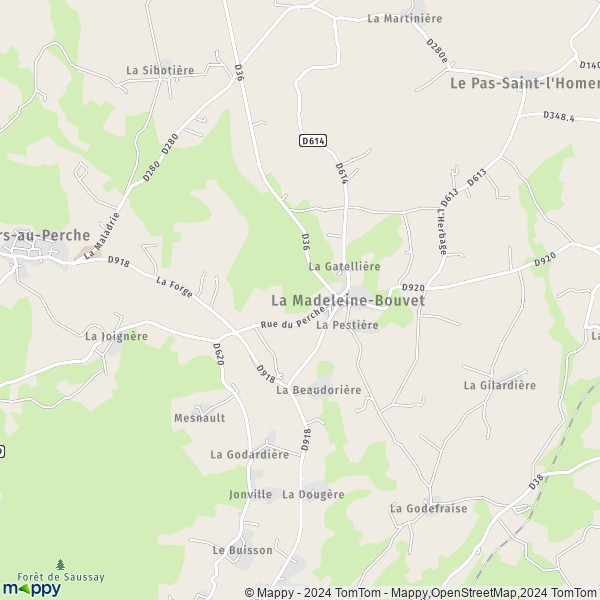 La carte pour la ville de La Madeleine-Bouvet 61110