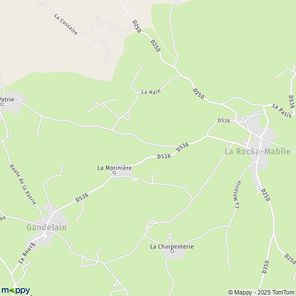 La carte pour la ville de La Roche-Mabile 61420