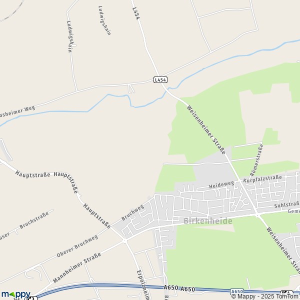 La carte pour la ville de 67134 Birkenheide