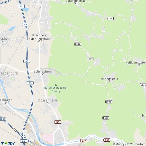 La carte pour la ville de 69198 Schriesheim