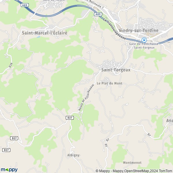 La carte pour la ville de Saint-Forgeux 69490