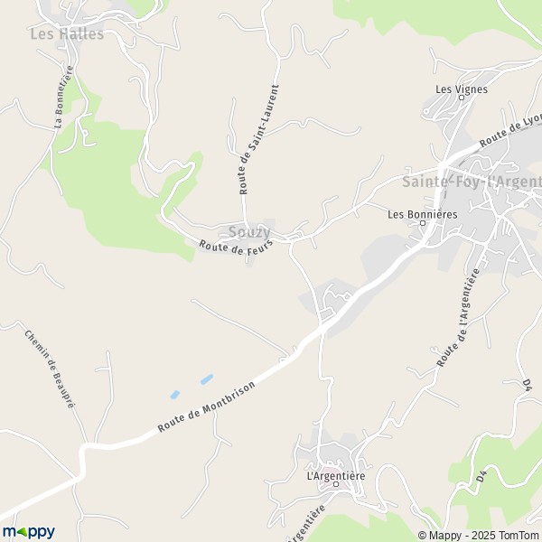 La carte pour la ville de Souzy 69610