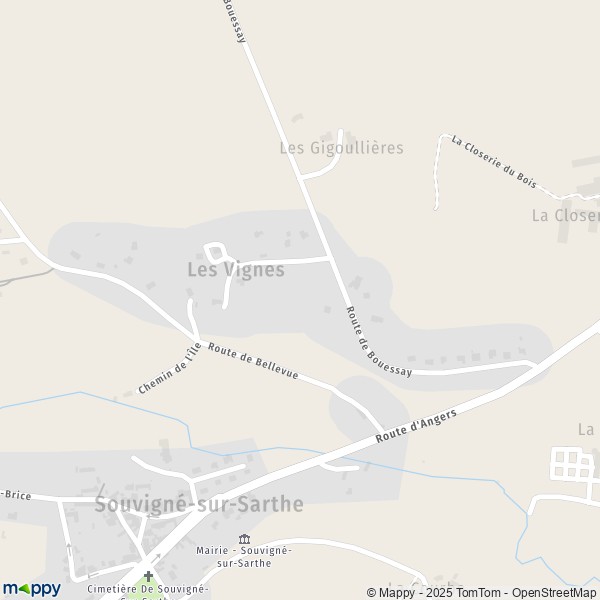 Carte Z.A.C. des Vignes, 72300 Solesmes