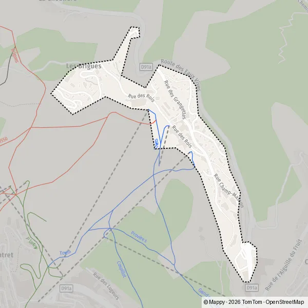 Plan Les Brigues : carte de Les Brigues, 73120 Courchevel et infos ...