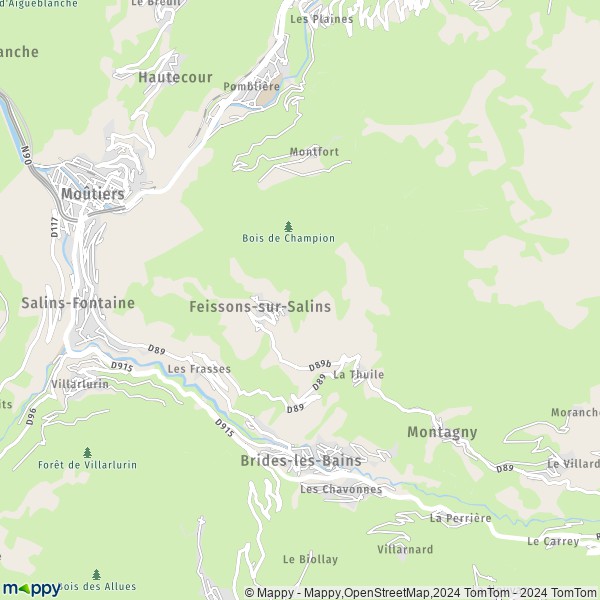 La carte pour la ville de Feissons-sur-Salins 73350
