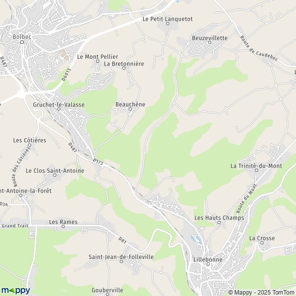 La carte pour la ville de Gruchet-le-Valasse 76210