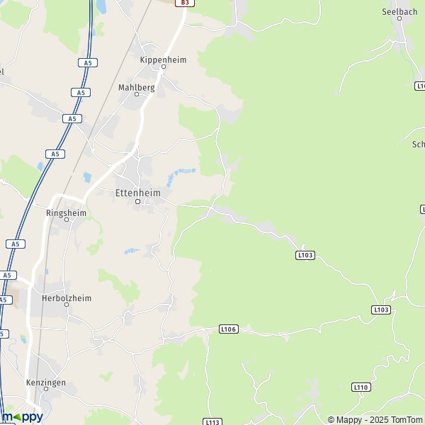 La carte pour la ville de 77955 Ettenheim