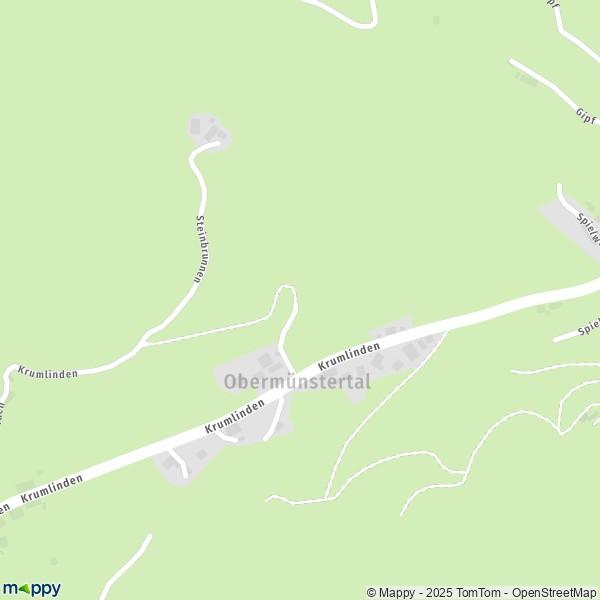 Carte Obermünstertal, 79244 Münstertal/Schwarzwald