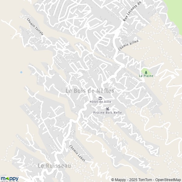 Carte Le Bois de Nèfles, 97411 Saint-Paul