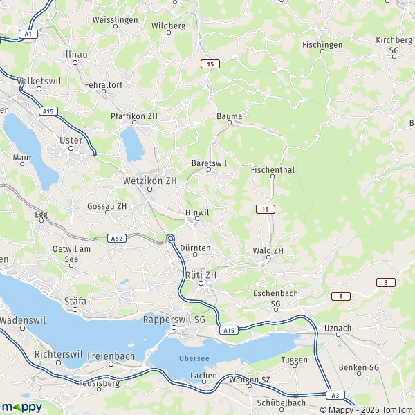 La carte du département Hinwil