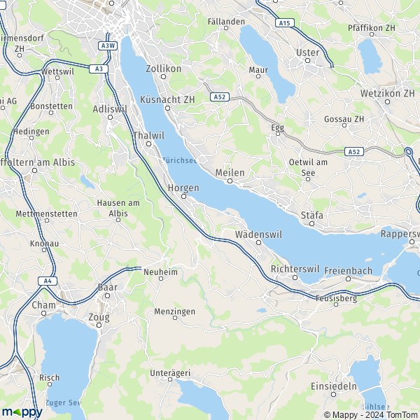 La carte du département Horgen