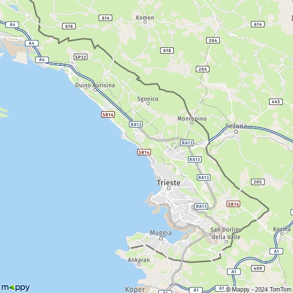 La carte du département Trieste