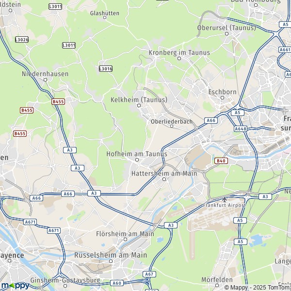 La carte du département Main-Taunus-Kreis