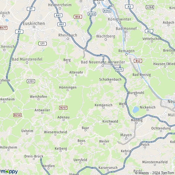 La carte du département Ahrweiler