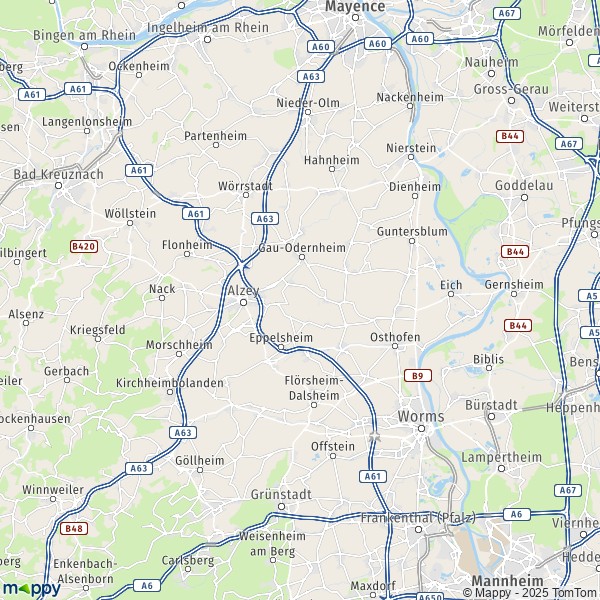 La carte du département Alzey-Worms