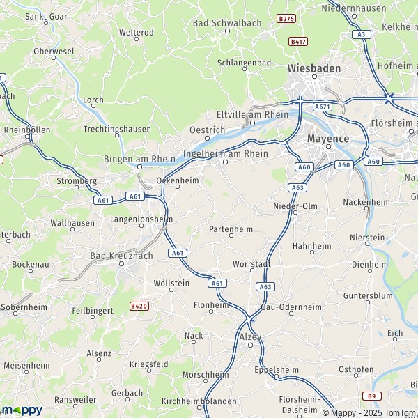 La carte du département Mainz-Bingen