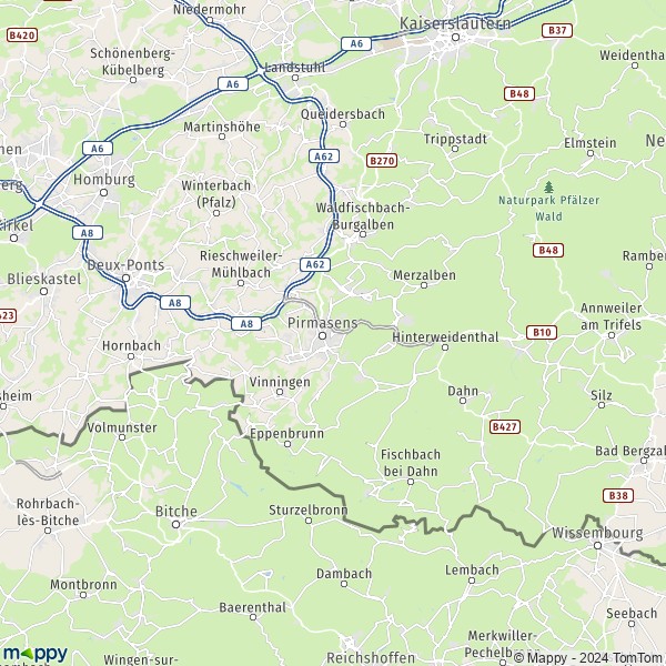 La carte du département Südwestpfalz