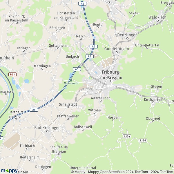 La carte du département Fribourg-en-Brisgau