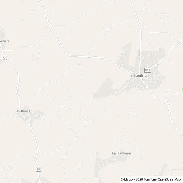 Carte Rue de Briace, 44430 Le Landreau