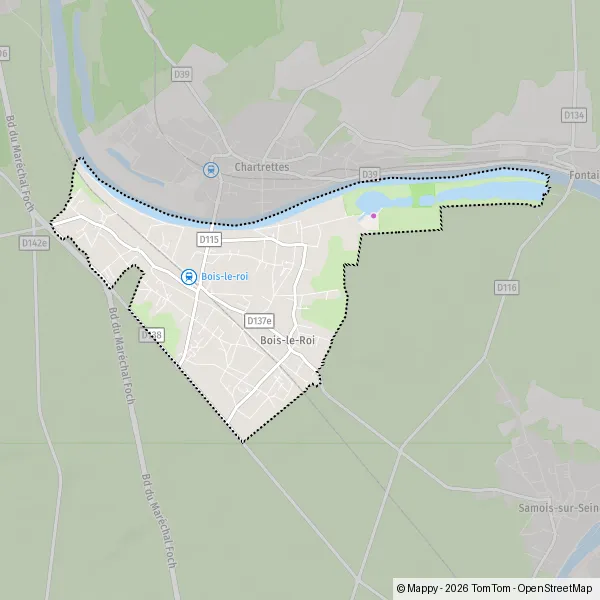 Carte Rue de Tournezy, 77590 Bois-le-Roi