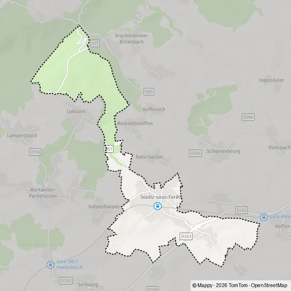 Carte Rue du Maire Geiger, 67250 Soultz-sous-Forêts