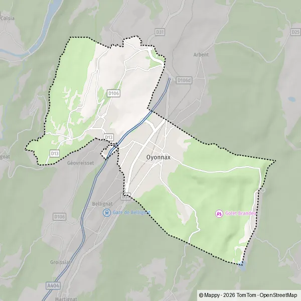 Carte Rue Edgar Quinet, 01100 Oyonnax